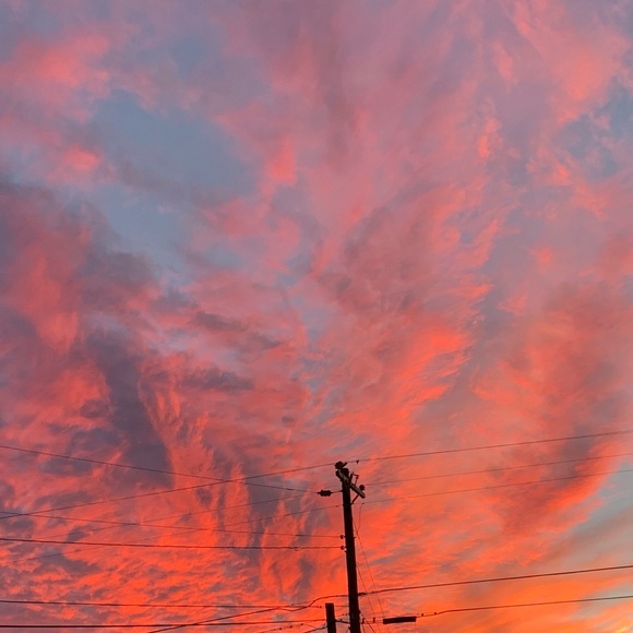 Meet your Posher, Kylan - Picture 1 of 1